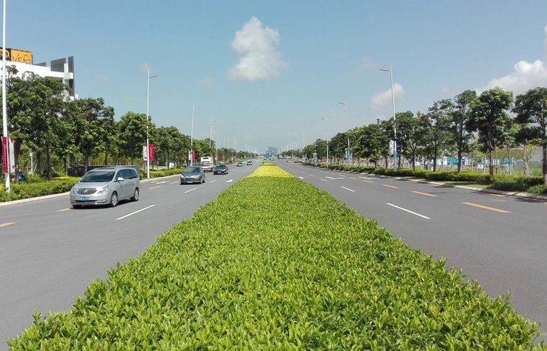 前海東濱路工程